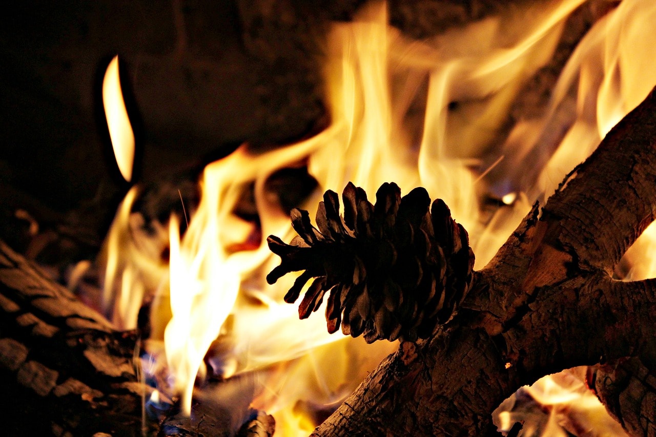 Holz und Tannenzapfen in Flamen